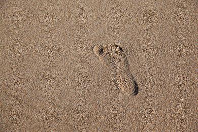 《咩咩启示录》再次进化 双人合作模式8月免费更新